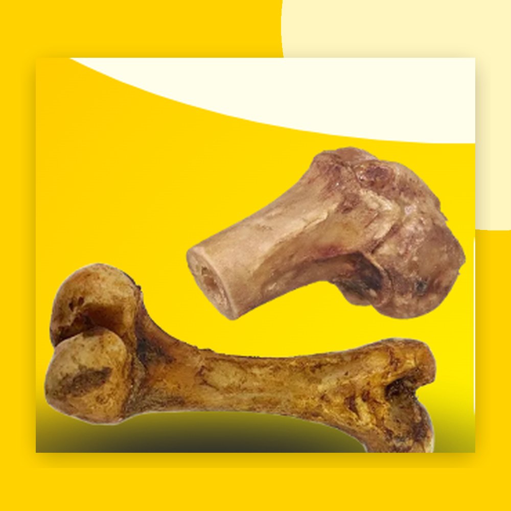 Hueso fémur de cerdo